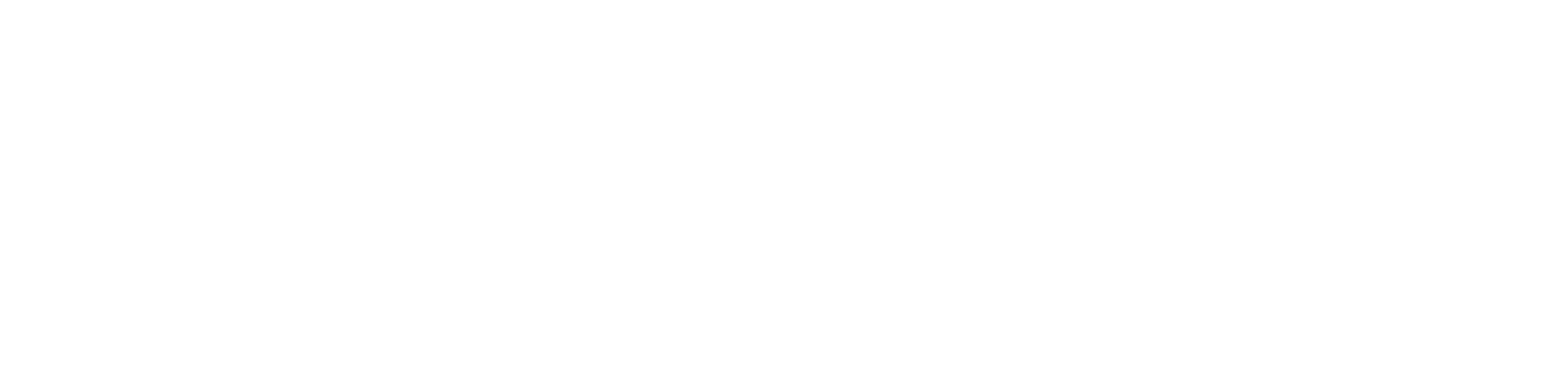 NetzTag